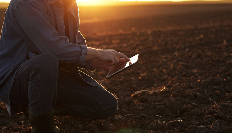 A farming kneeling in soil, and examining a tablet
